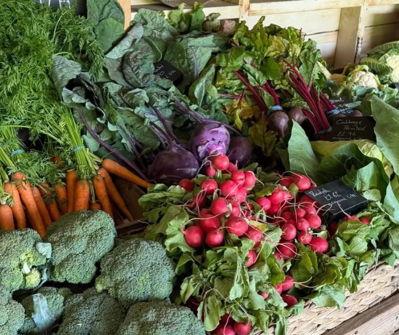 Seasonal organic vegetables in the farm shop