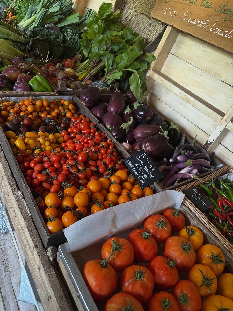 Crates of cherry tomatoes, aubergines and chillies from the market garden