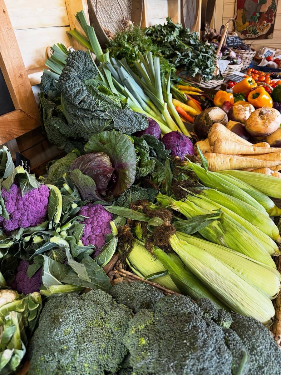 Cabbages, leeks, purple cauliflower, sweetcorn and broccoli piled high in the farm shop